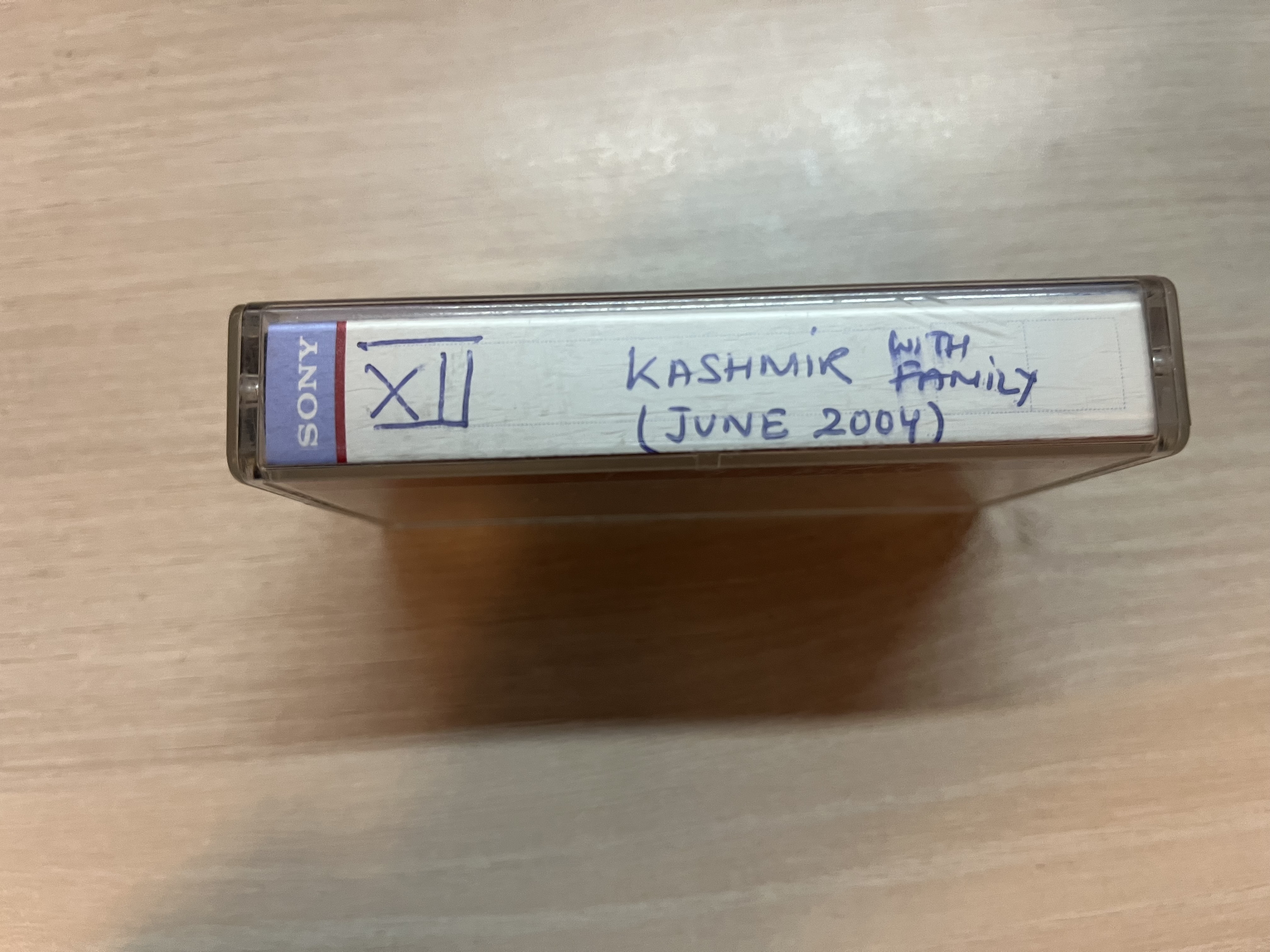 XII Kashmir with Family (June 2004)